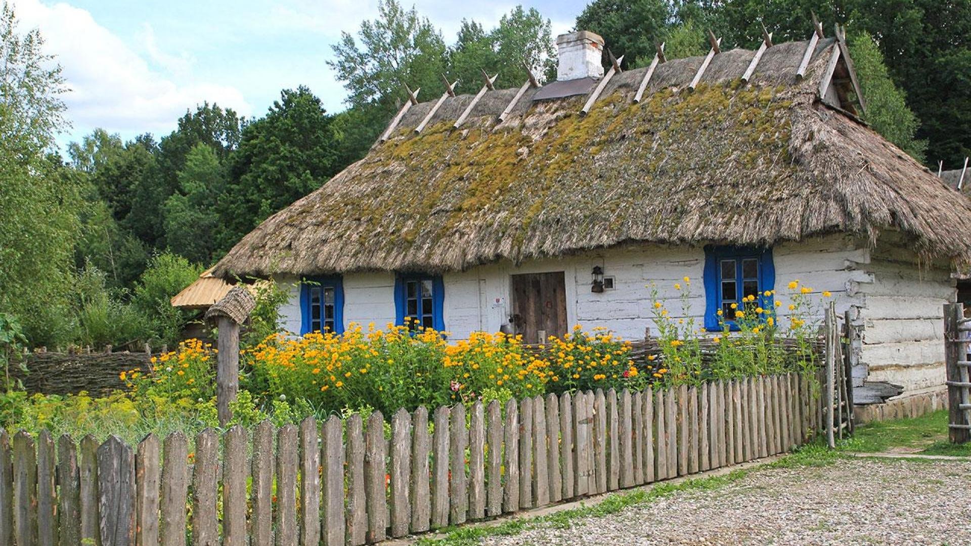 Białowieża